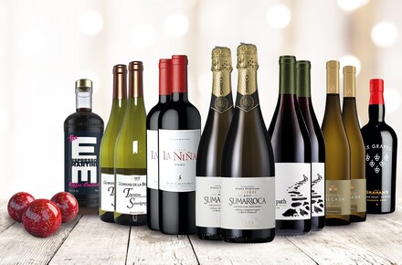  Festive Party Mixed Case 2025